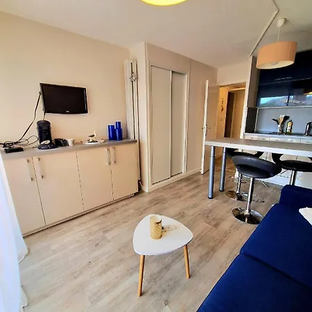 Apartment Joli Pour 4 Personnes Dans Avec Piscine, Situe Impasse Du Globe Au Cap D'agde Agde