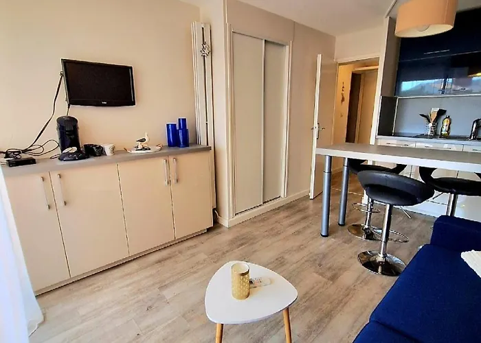 Apartment Joli Pour 4 Personnes Dans Avec Piscine, Situe Impasse Du Globe Au Cap D'agde Agde