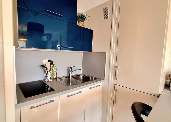 Apartment Joli Pour 4 Personnes Dans Avec Piscine, Situe Impasse Du Globe Au Cap D'agde Agde